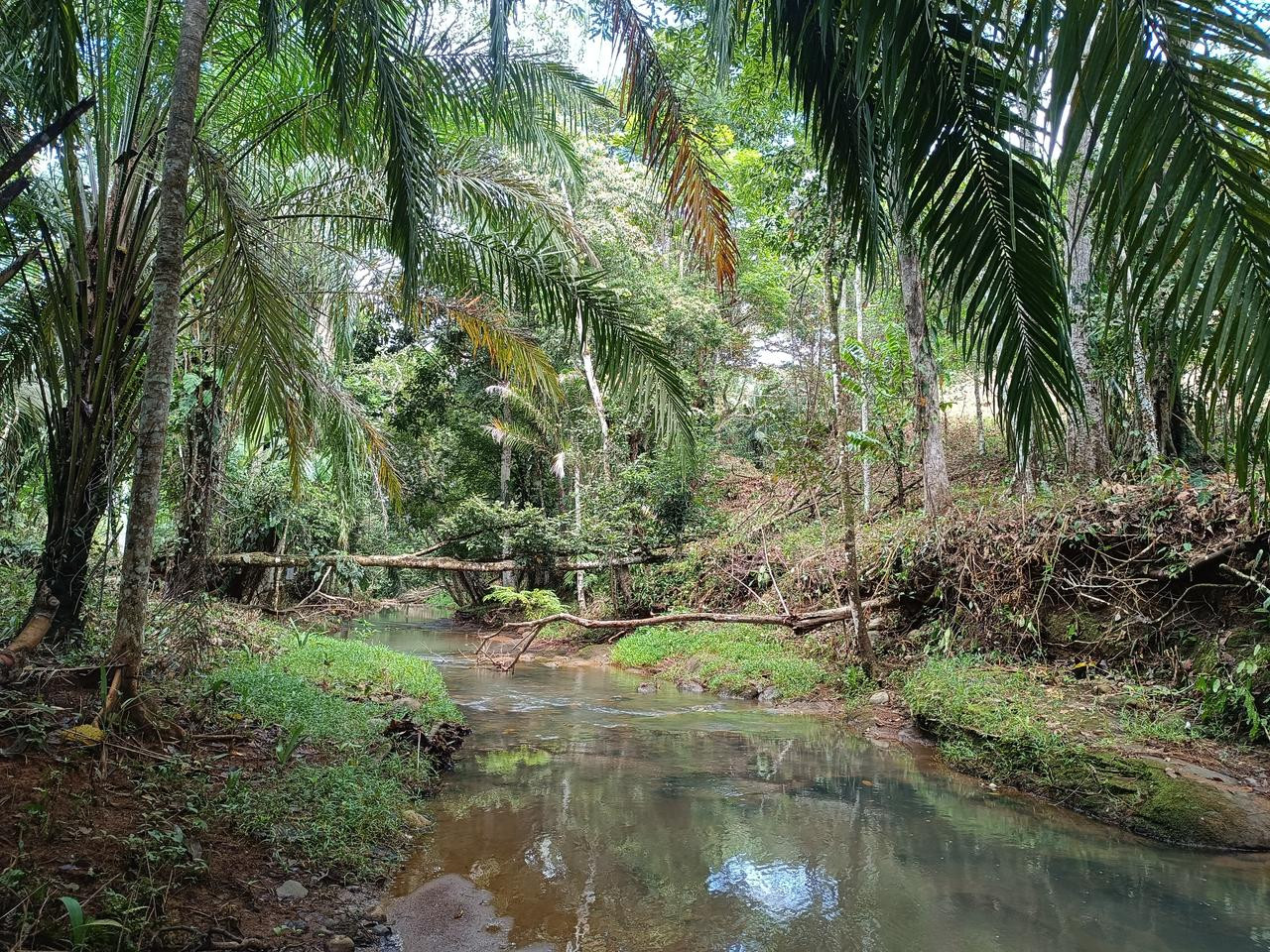Land in Esterillos, San Julián